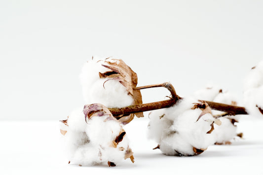 organic cotton Portugal
